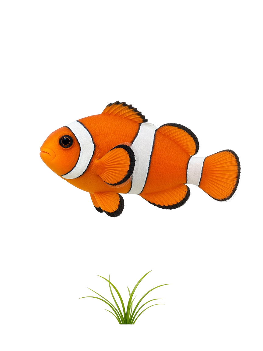 Poissons